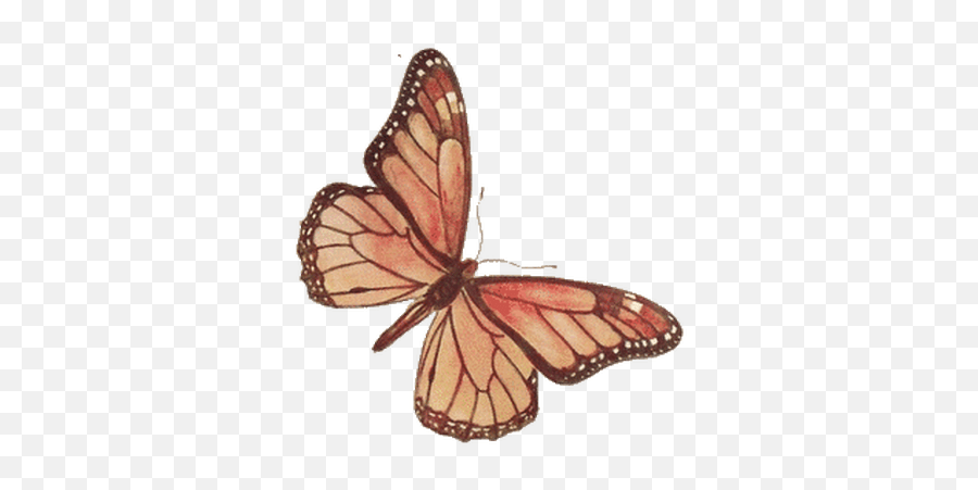 Butterfly Transparent Butterflies Transparent Images Stick - Aesthetic Stickers Vintage Png Emoji,Butterfly Emoji Png