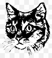 Library Of Cat Face Jpg Black And White Library Transparent - Black And White Cat Head Artwork Emoji,Cat Emojis Wikimedia Commons
