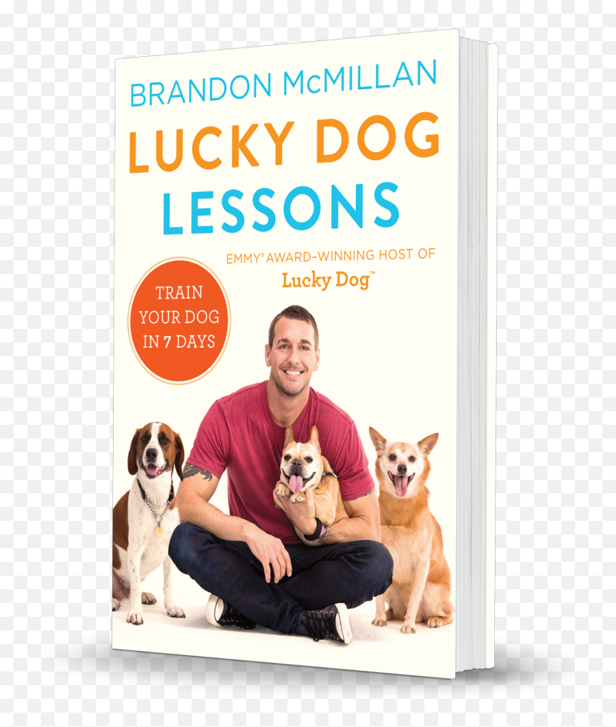 Brandon Mcmillanu0027s Canine Minded Lucky Dog Lessons I Book - Lucky Dog Lessons Train Your Dog In 7 Days Emoji,Pet Emotions Chart