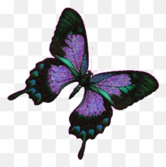 Top Scratch Gif Stickers For Android U0026 Ios Gfycat - Love Good Night Butterfly Kisses Emoji,Scratch Animated Emoticon