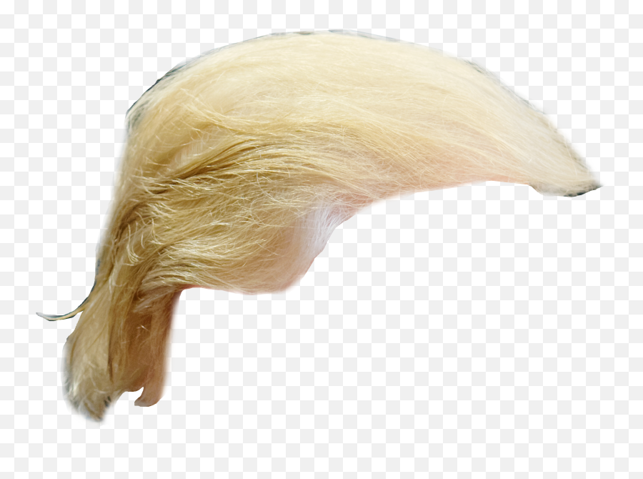 Donald Trump Hair Png Free Donald - Transparent Donald Trump Wig Emoji,Trump Hair Emoji