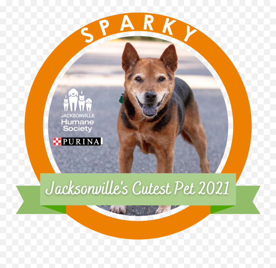 Jacksonville Humane Societyjacksonville Emoji,Bdo Pets Emotion