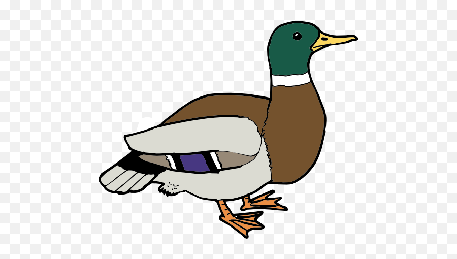 Clipart I2clipart - Royalty Free Public Domain Clipart Duck Png Clipart Emoji,Duck Emoticon In Facebook Comment