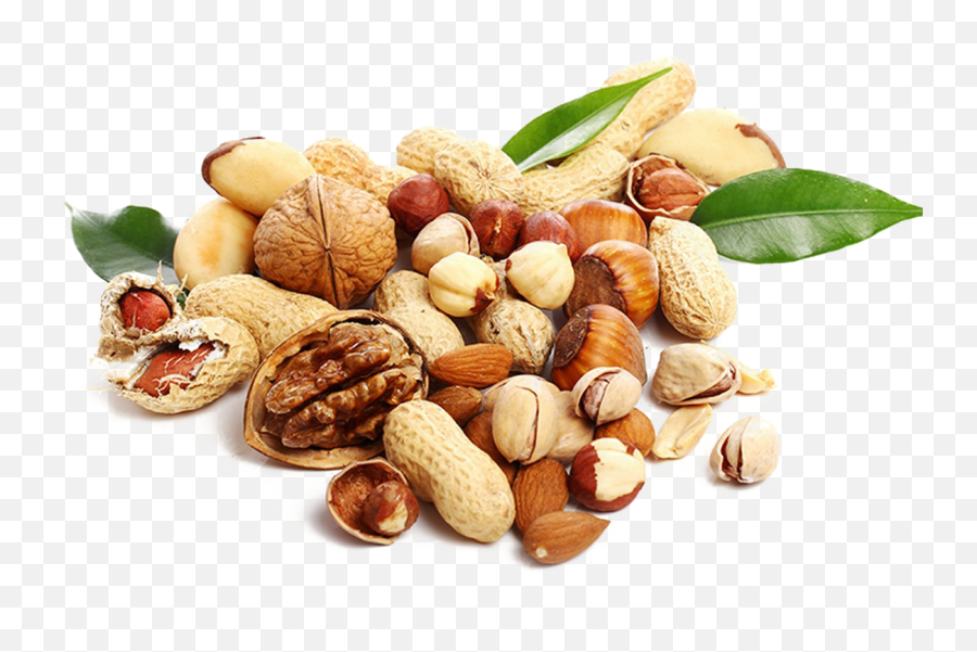 Nut Png - Nut Png Highquality Image Nuts Hd 4640193 Nuts Emoji,Nuts Emoji