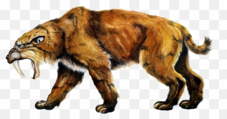 Saber Tooth Tiger Png Png Image With No - Saber Tooth Tiger Png Emoji,Facebook Sabertooth Tiger Emojis