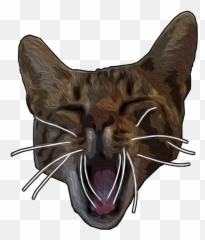 Telegram Sticker U200d From Pussy 69 Vol 1 By Thesquid Pack Emoji,Grey Emoji Yelling