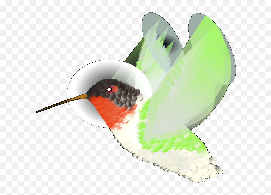 Colibri Png Svg Clip Art For Web - Download Clip Art Png Emoji,Green Bird Emoji