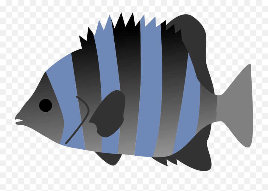 Striped Beakfish Fish Clipart Free Download Transparent - Blue Stripy Fish Clipart Emoji,Sergeant Emoji