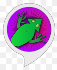 Frog Spinner - True Frog Emoji,Xesta Slow Emotion Rods