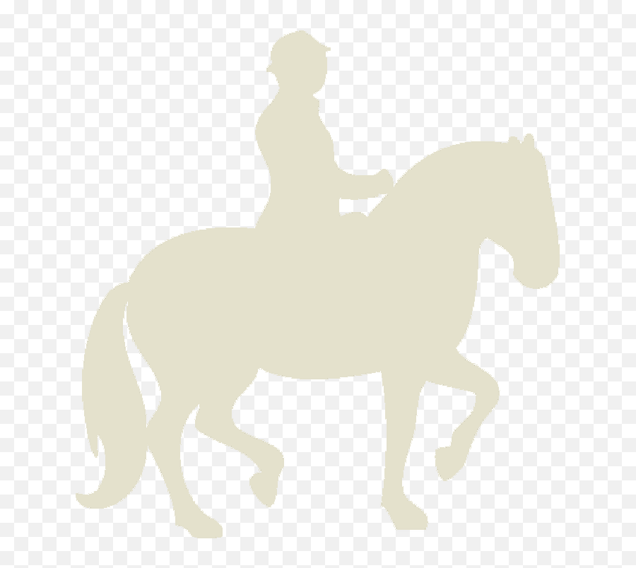 2020 Training The Flying Changes Course Beta 20 - Bridle Emoji,Horse Rider Emoji