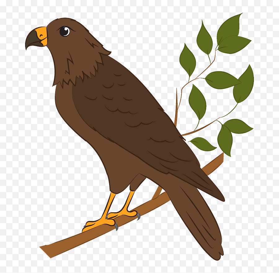 Hawk Clipart - Hawk Clipart Png Emoji,Hawk Emoji