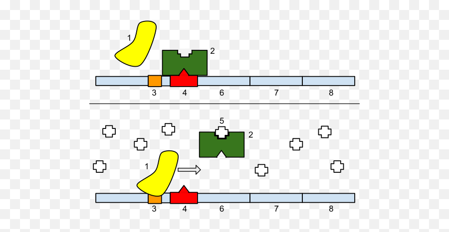 Evolutionary Developmental Biology - Lac Operon Emoji,Coevolution Layer Emotion