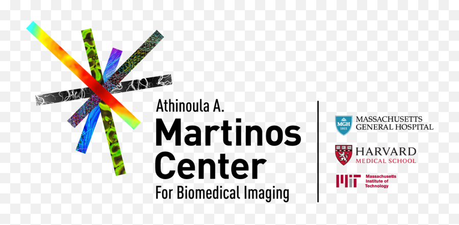 Erin J Morrissey Ba Marco L Loggia Phd - Vertical Emoji,Knee Replacement Emoticons