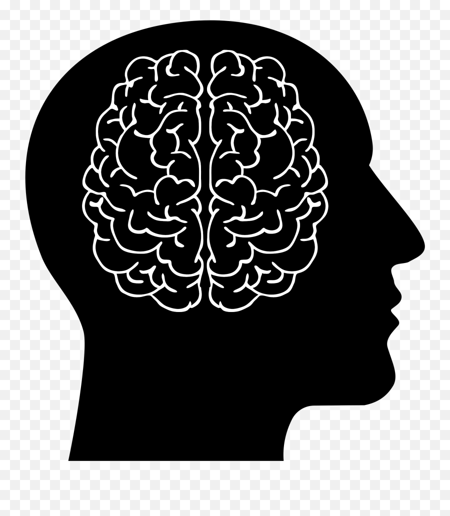 People Clipart Brain People Brain Transparent Free For - Head With Brain Png Emoji,Big Brain Emoji