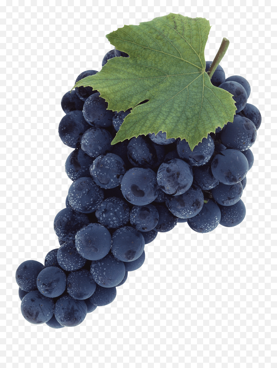 Beautiful Purple Grape Png Image - Grapes Transparent Background Png Emoji,Grape Emoji