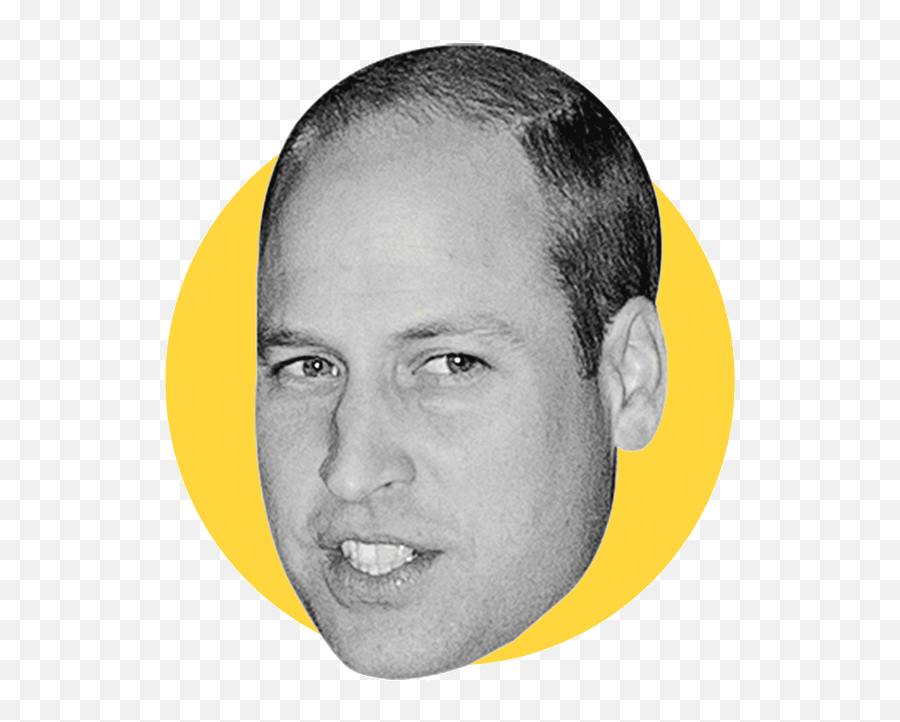 Are You A Harry Or A William A Leadership Quiz - Hair Loss Emoji,Hair Trembles With Emotion Gif