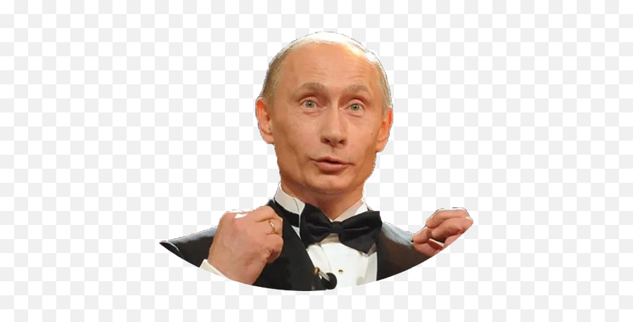 Putin Stickers By App - Artmentcom Vladimir Putin Funny Emoji,Putin Emoji