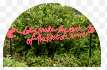 Andy Leek Emotional Support Card Shop - Garden Emoji,Emotion Metor Garden