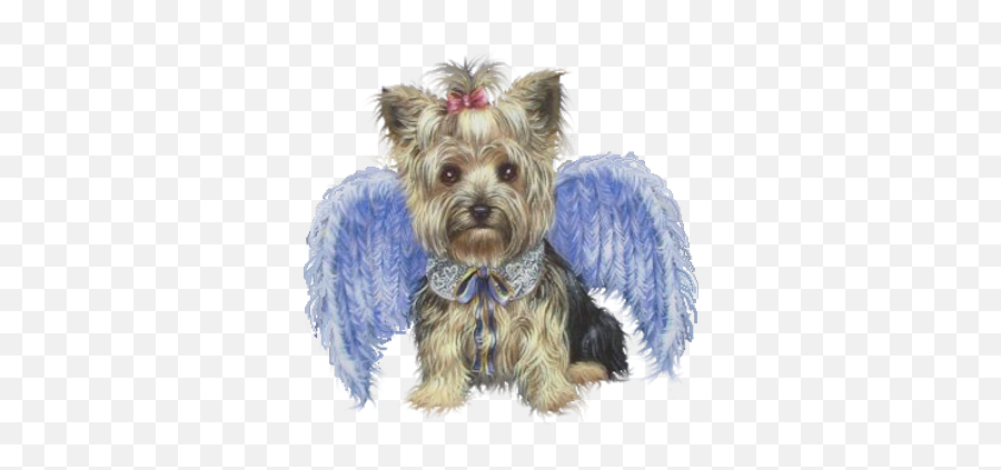 Dog With Angel Wings - Yorkie With Wings Emoji,Emoji Angel Dog