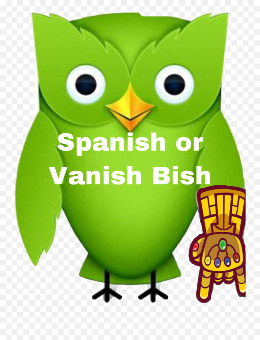 Duolingo Spanish Or Vanish Sticker - Duolingo Emoji,Duolingo Emoji