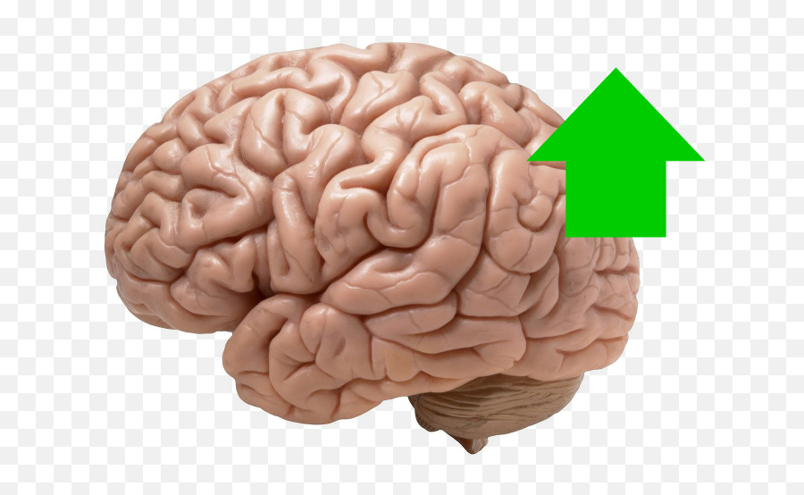 Quotes Nextlevelthinking - Brain Looks Like Emoji,Quotes On Controlling Emotions