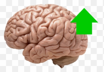 Quotes Nextlevelthinking - Brain Looks Like Emoji,Quotes On Controlling Emotions