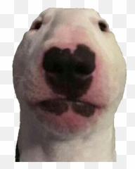 Angry Laughing Emoji 20 By Epicmeme - Thingiverse Walter Dog,Messed Up Laughing Emoji