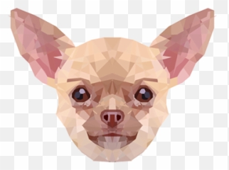 Photos Videos Logos Illustrations - Ugly Emoji,Emotion Chihuahua
