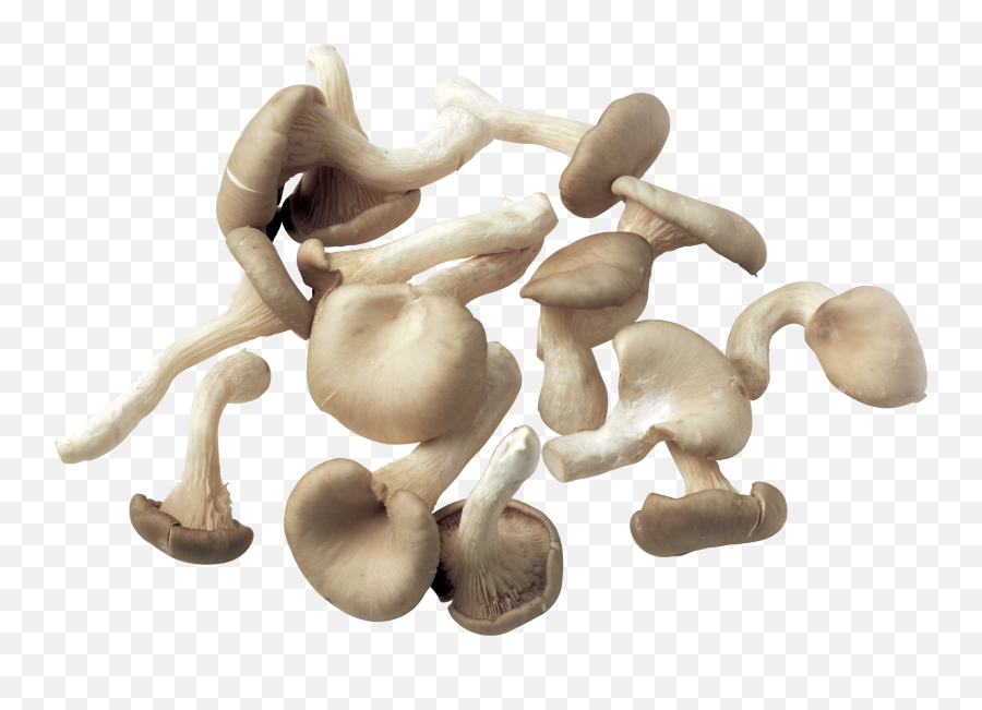 Smile Smurf Pnglib U2013 Free Png Library - Mushrooms Emoji,Mushrooms Emoji