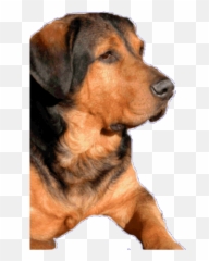 Flukeu0027s Aftercare Pet Cremation Pet Urns U0026 Pet Memorials - Guard Dog Emoji,Gary Larson Dog Emotion