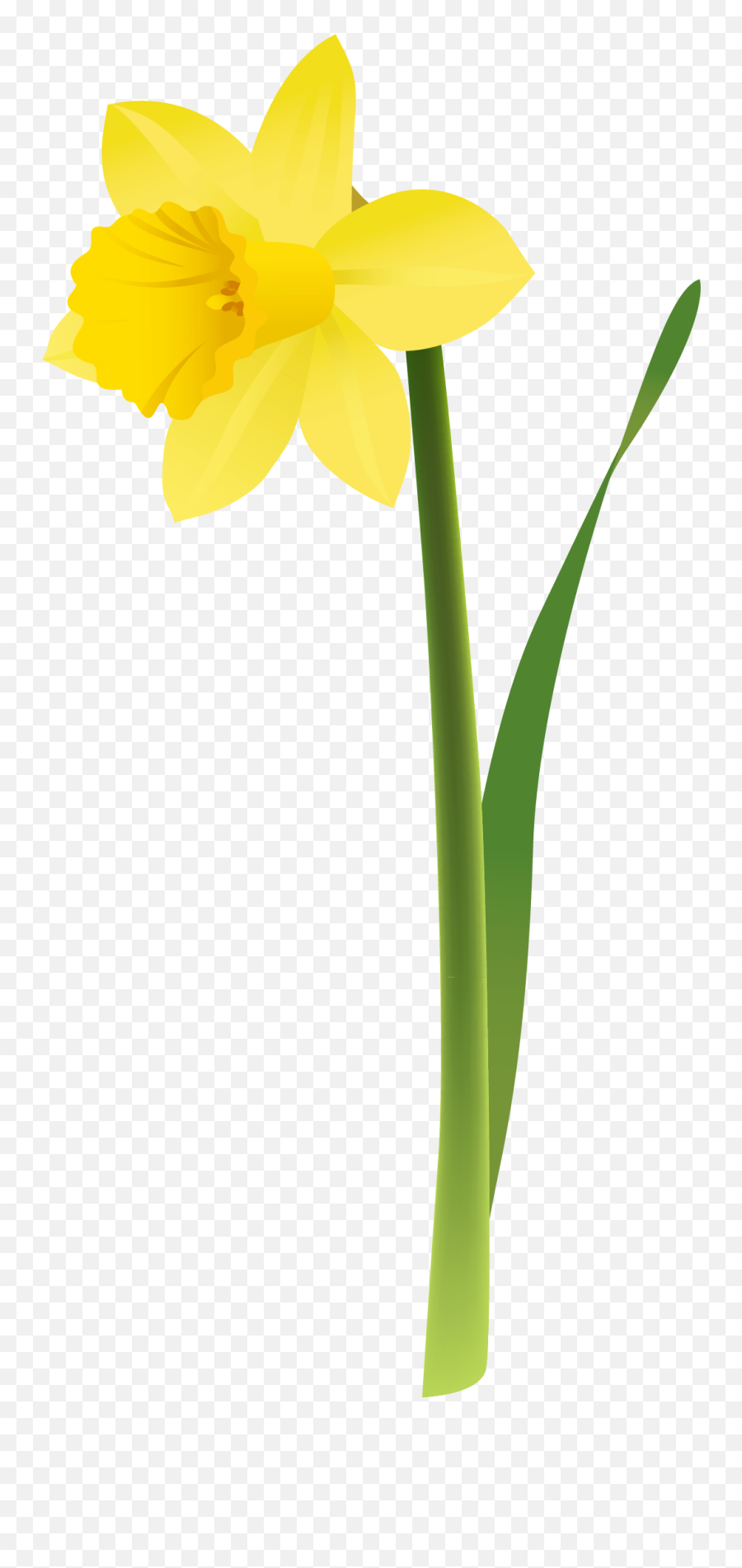 Daffodil Clip Art - Clip Art Spring Daffodil Emoji,Emoticon Daffodil