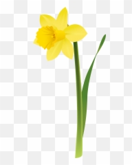 Daffodil Clip Art - Clip Art Spring Daffodil Emoji,Emoticon Daffodil