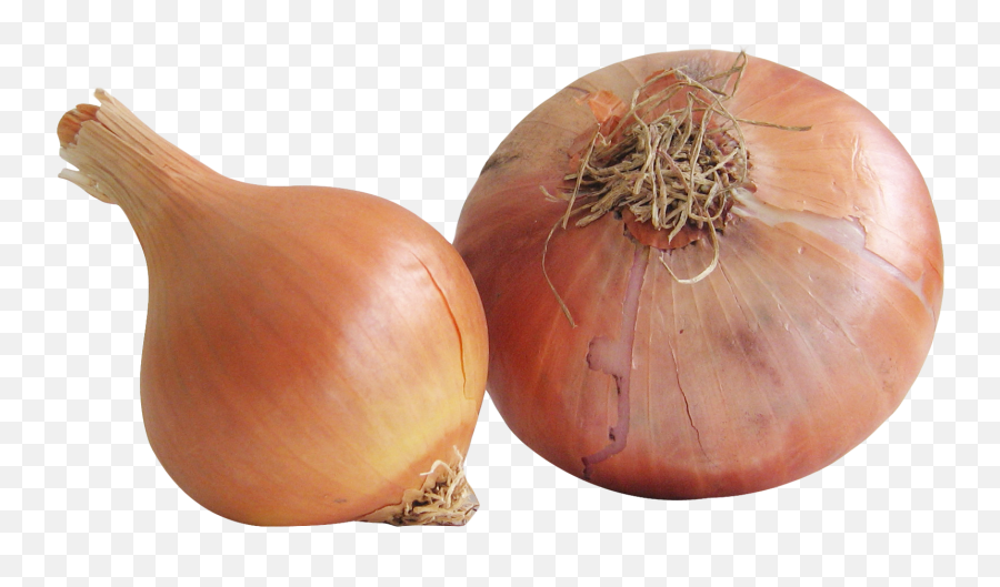 Pin - Transparent Image Garlic And Onions Emoji,Different Tears Onions Vs Emotion