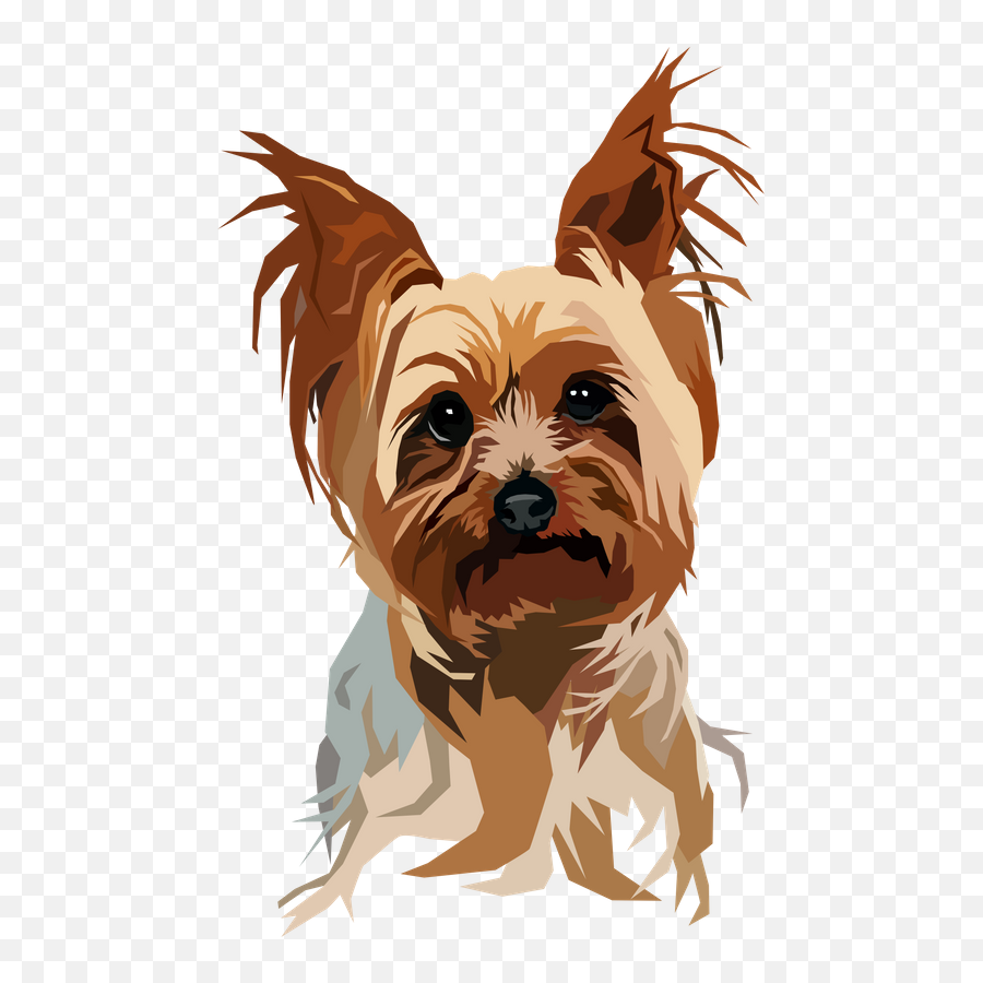 320 Bella Ideas In 2021 Yorkshire Terrier Yorkie - Yorkie Art Emoji,Looking For A Lap Dog And One That Responds To Emotion