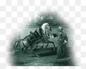Silver Maple Farm Emoji,Horses Emotion Illustration