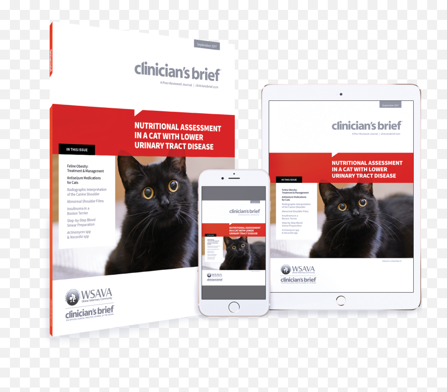 All Issues Clinicianu0027s Brief - Iphone Emoji,Cat Emotions Vs Dogs