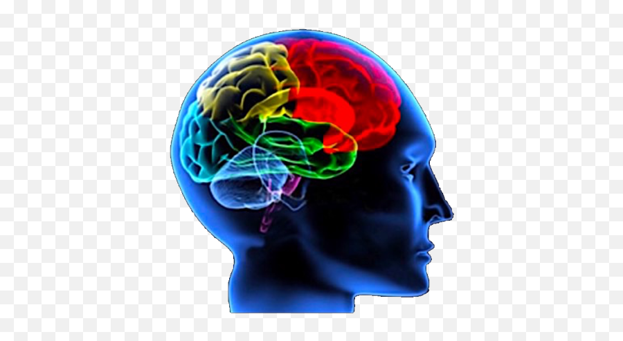 Jensen Learning - Brain Based Learning Emoji,Eric Jensen Emotions We Are Born With