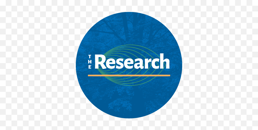 Flourishing Schools Acsi Emoji,Main Three Emotions Of Master Chief