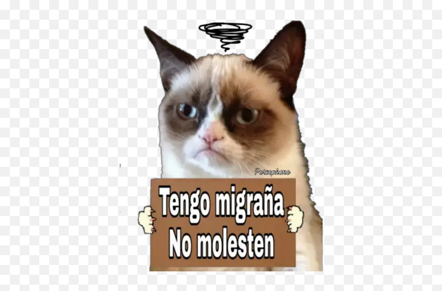 Sticker Maker - Grumpy Cat Cartel Emoji,Cartel Emoji