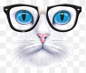Download Hd Blue Eyed Cat With Nerd Glasses - Cat With Cat Face T Shirt Emoji,Nerd Emoji