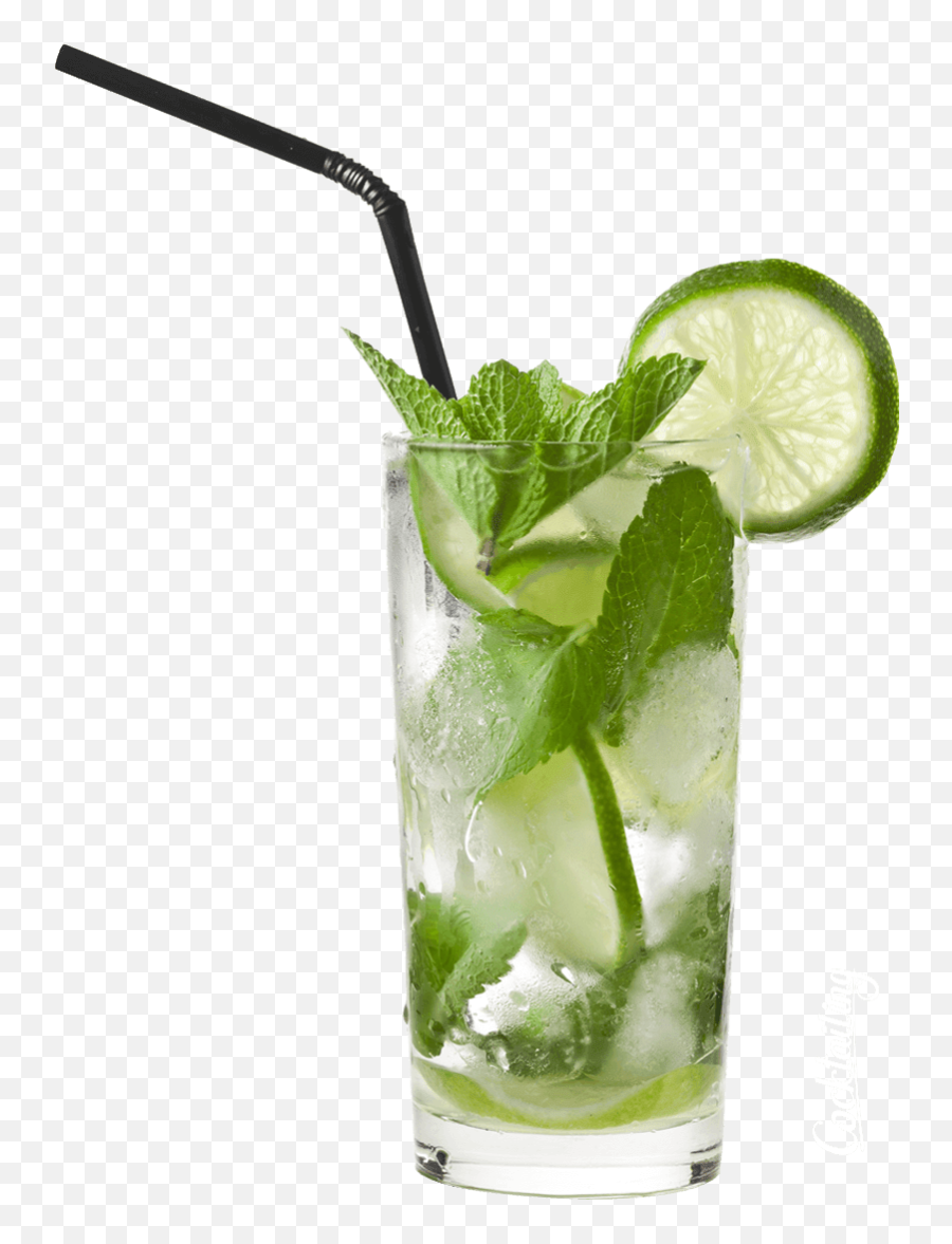 160 Best Lemon Transparent Png Image - Transparent Mojito Cocktail Png Emoji,Mojito Emoji