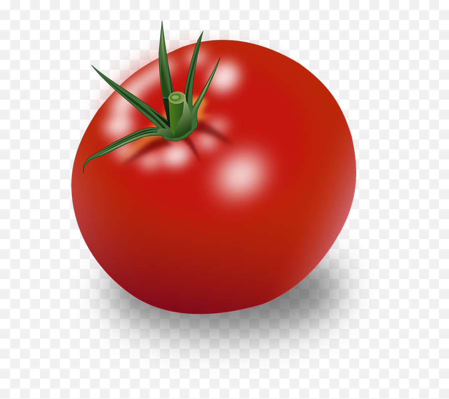 Week 5 Review Quiz - Baamboozle Clipart Tomate Emoji,Soy Sauce Emoji