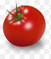 Week 5 Review Quiz - Baamboozle Clipart Tomate Emoji,Soy Sauce Emoji