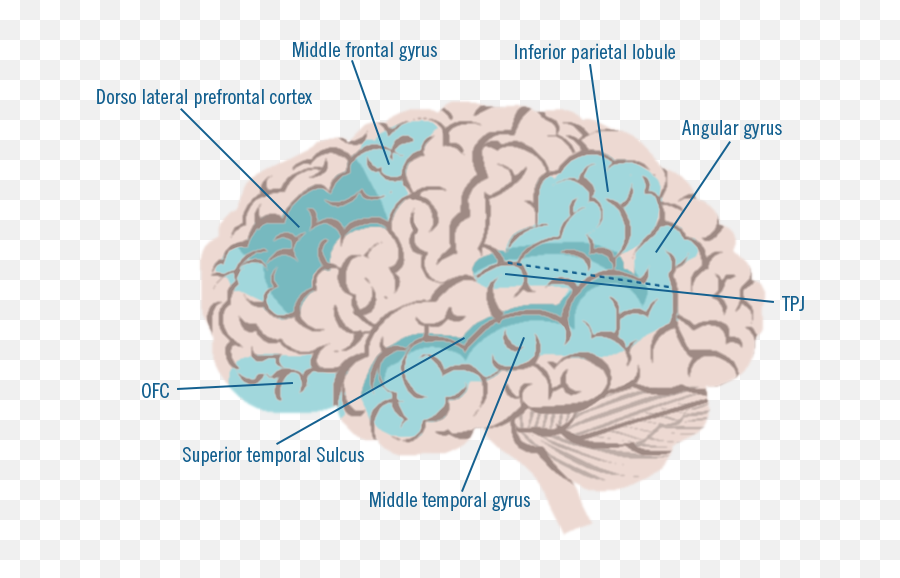 The Brights Net - Brain Emoji,Moral Emotion