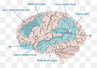 The Brights Net - Brain Emoji,Moral Emotion