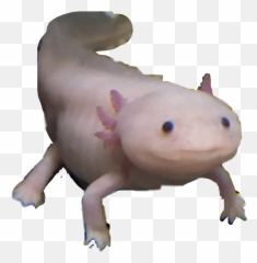 Axolotl Sticker - Animal Figure Emoji,Axolotl Emoji