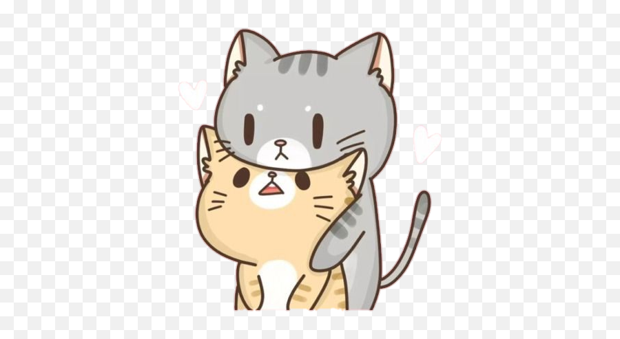 Ameidesu - Discord Emoji Scottish Fold Wallpaper Hd 4k,Where Should The 9.1 Emojis Be??