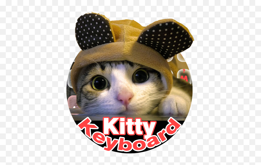 Cute Kitty Keyboard U2013 Rakendused Google Plays - Cute Cats Emoji,Using Kitty Cat Face Emoji On Facebook