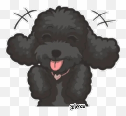 Sticker Maker - Curly Emoji,Dog Emojis Poodle