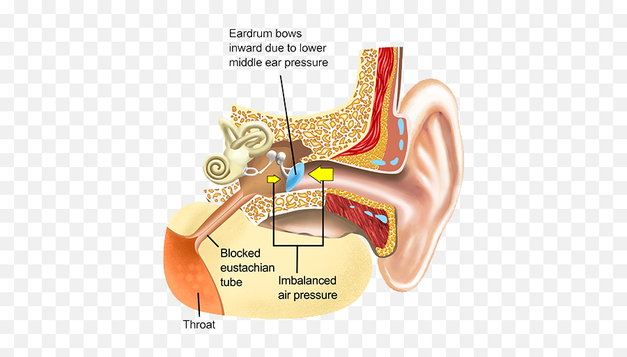 Sound Therapy International - Health Concerns Emoji,Ears React To Your Emotions